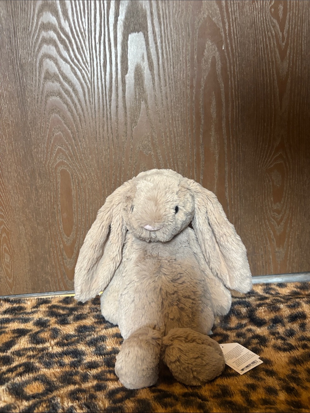Bashful bunny jellycat